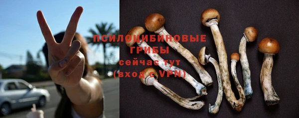 ешки Волоколамск