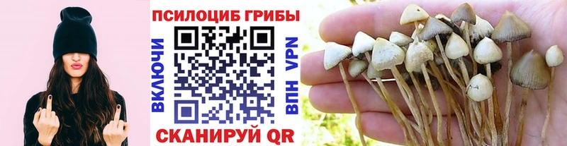 Псилоцибиновые грибы MAGIC MUSHROOMS  Лысково 
